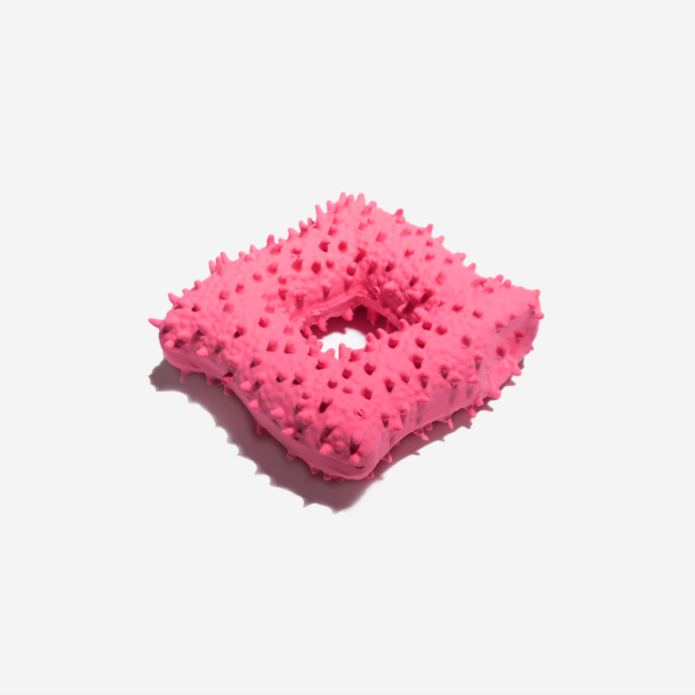 Cactus Shaped Squeaky Dog Toy - Mprsstore