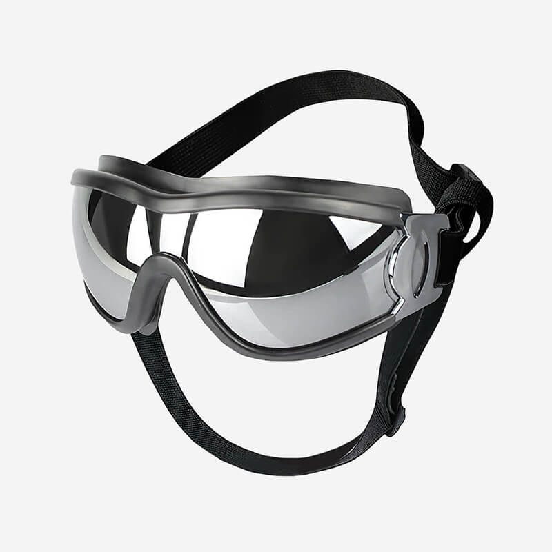 Goggles For Big Cool Dog