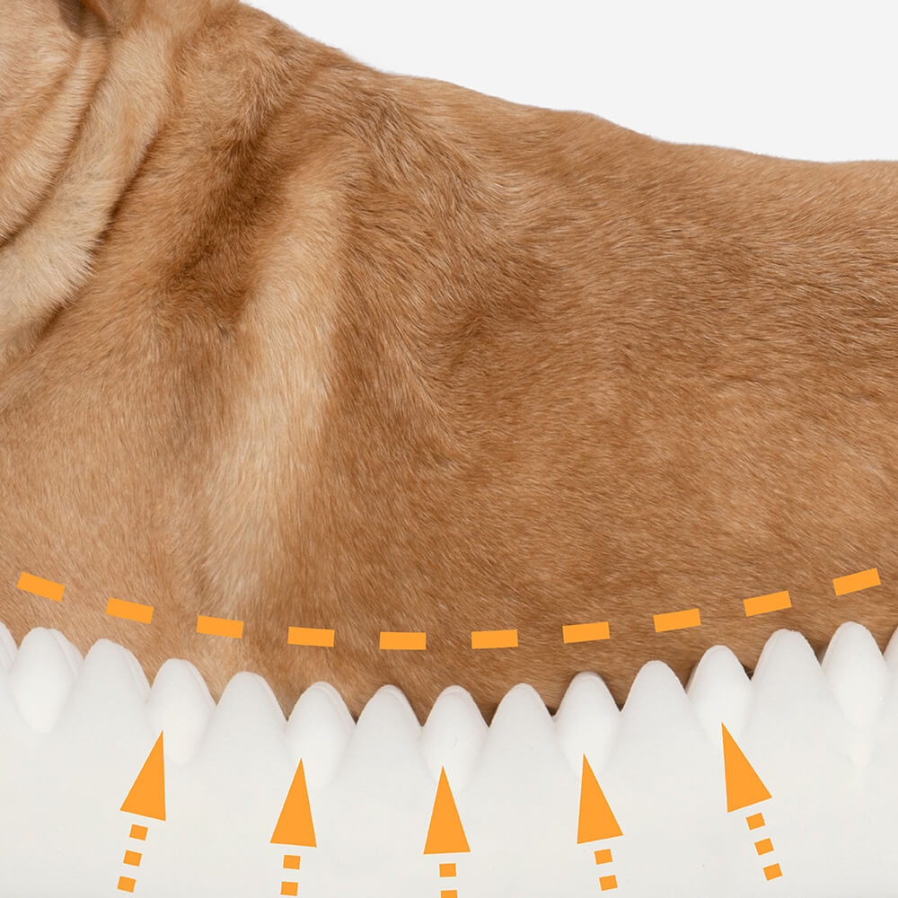 Donut Orthopedic Dog Bed - Mprsstore