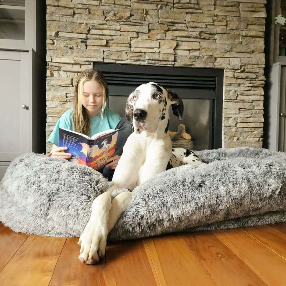 Donut Orthopedic Dog Bed - Mprsstore