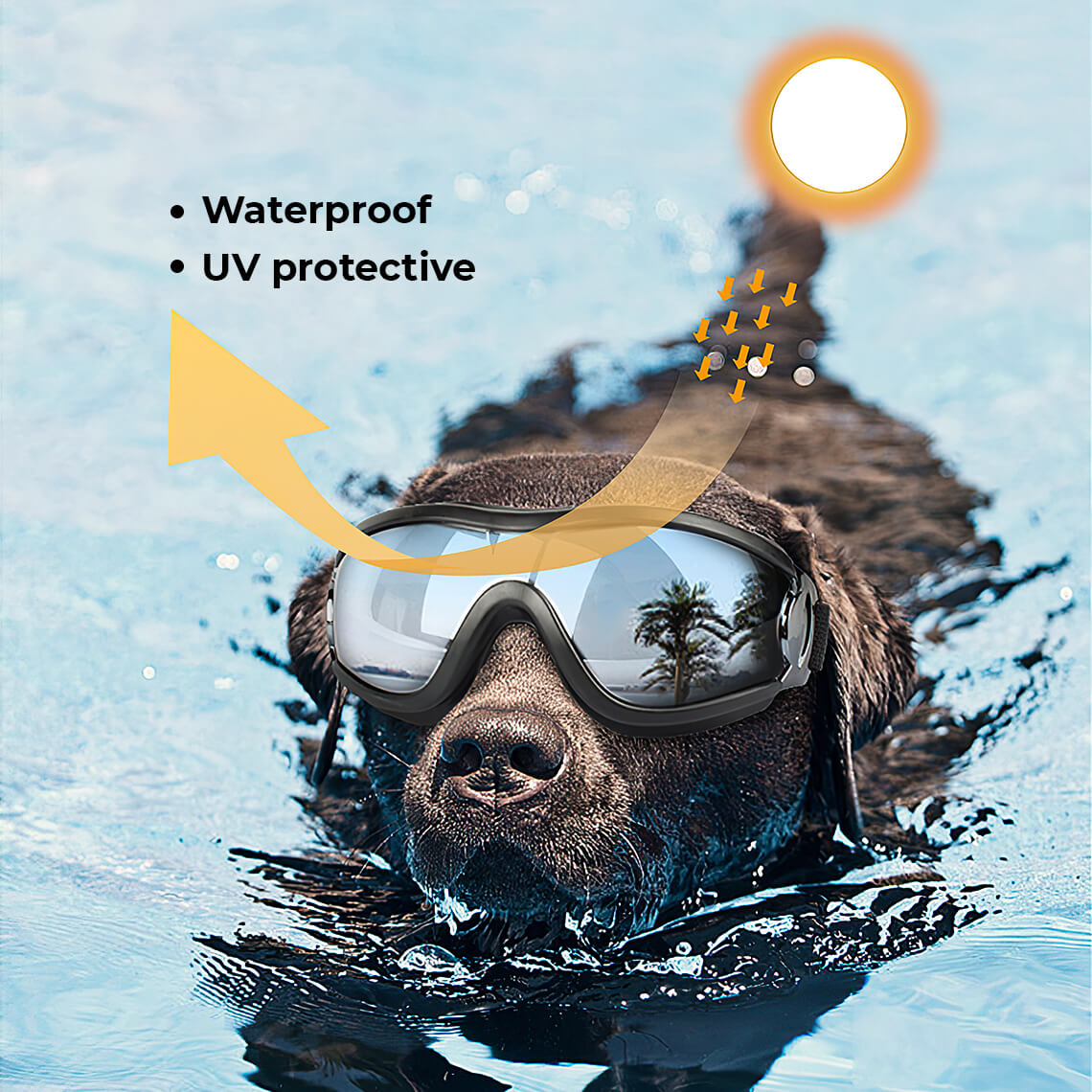 Goggles For Big Cool Dog