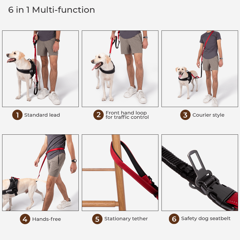 Waterproof Cool Dog Rain Coat